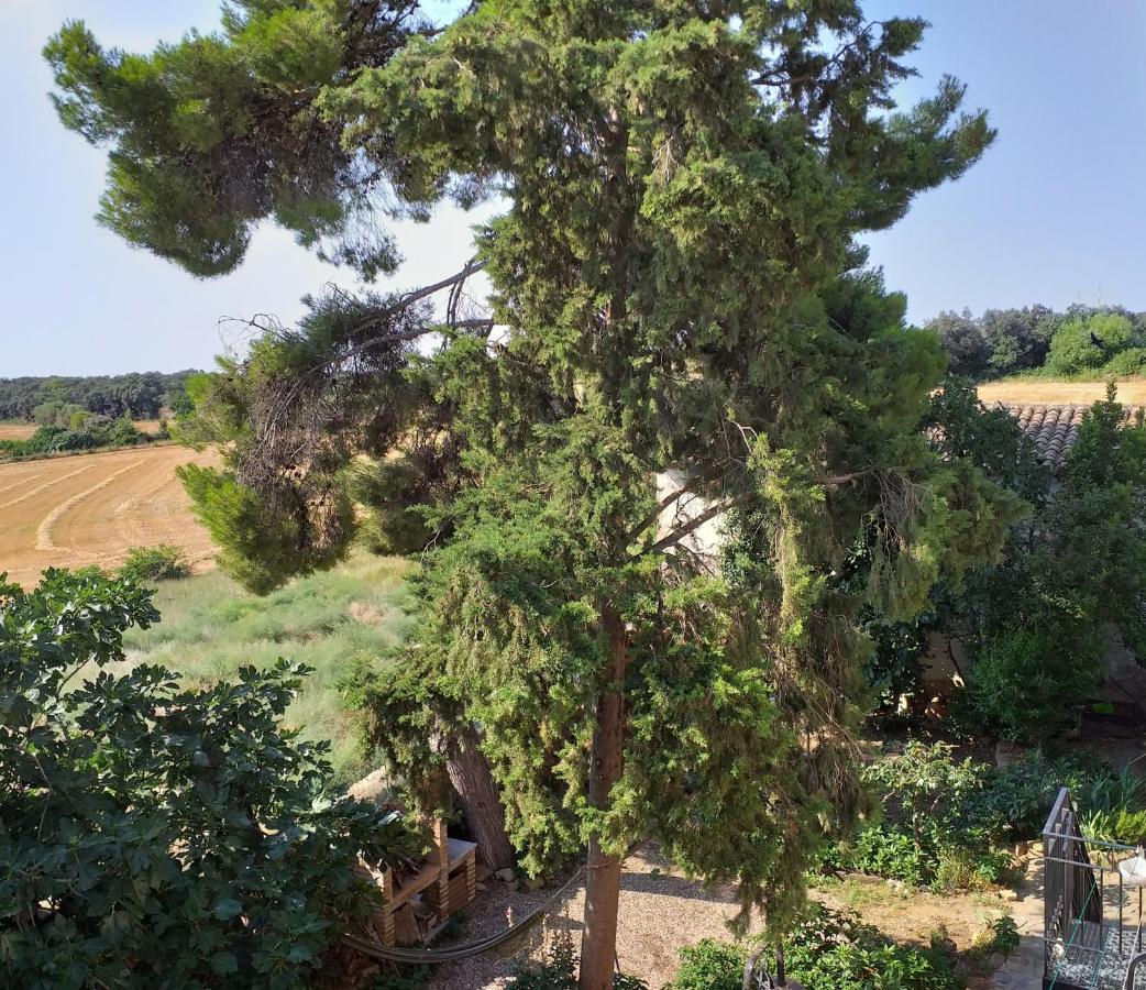 Casa Rural Boletas Loporzano Dış mekan fotoğraf